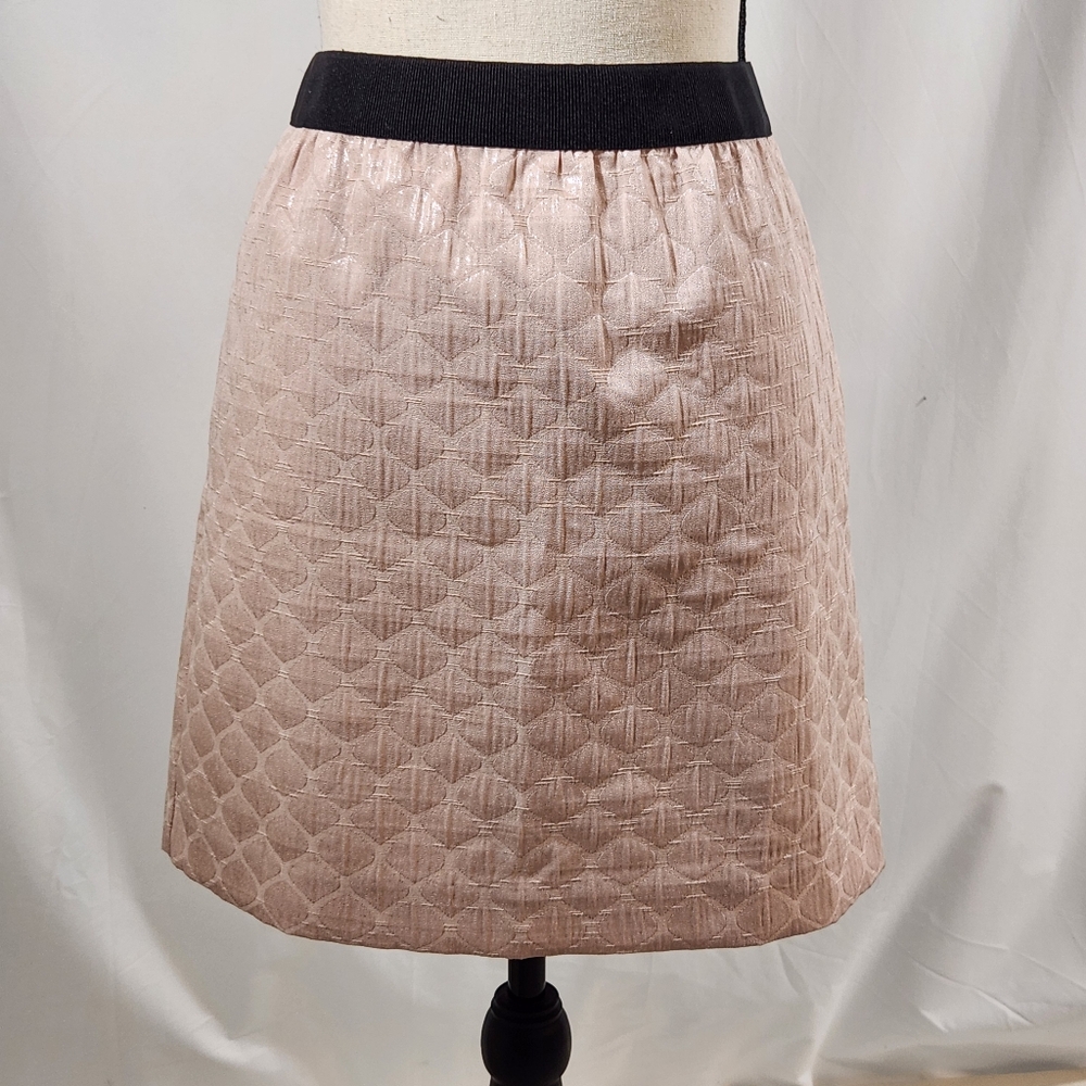 Ann Taylor Loft Pink Mini Size 4